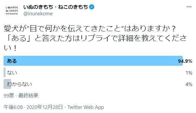 愛犬からの目での要求についてのアンケート結果