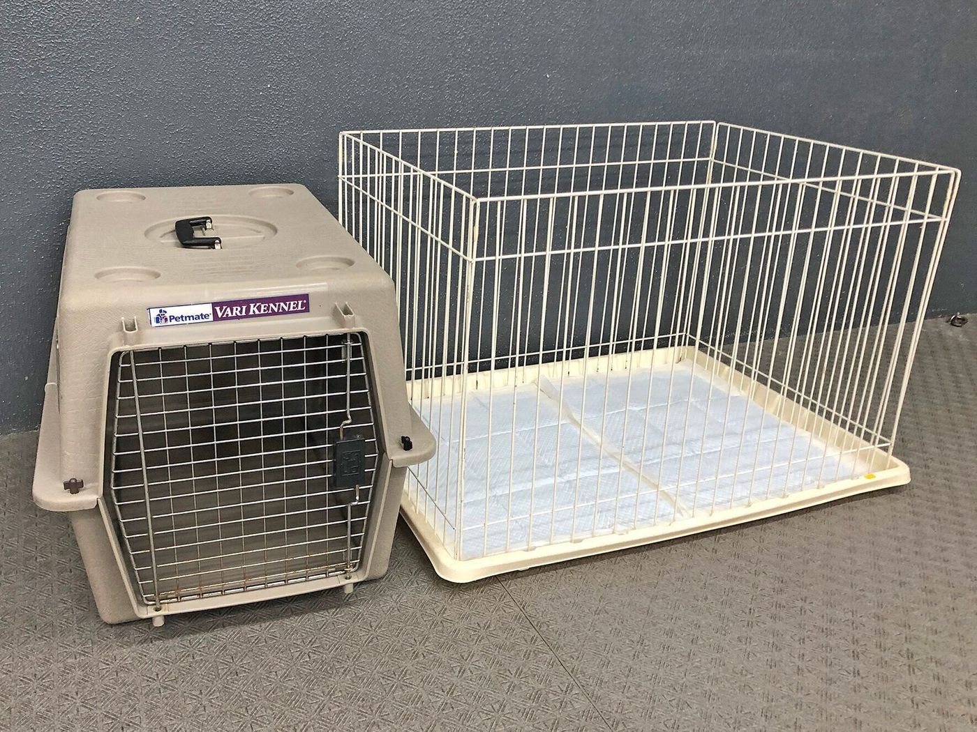 子犬にも成犬にも確実性の高い トイレの教え方 連載 西川文二の 犬ってホントは Vol 54 いぬのきもちweb Magazine 子犬にも成犬にも確実性の高い トイレの教え方 連載 西川文二の 犬ってホントは Vol 54 いぬのきもちweb Magazine