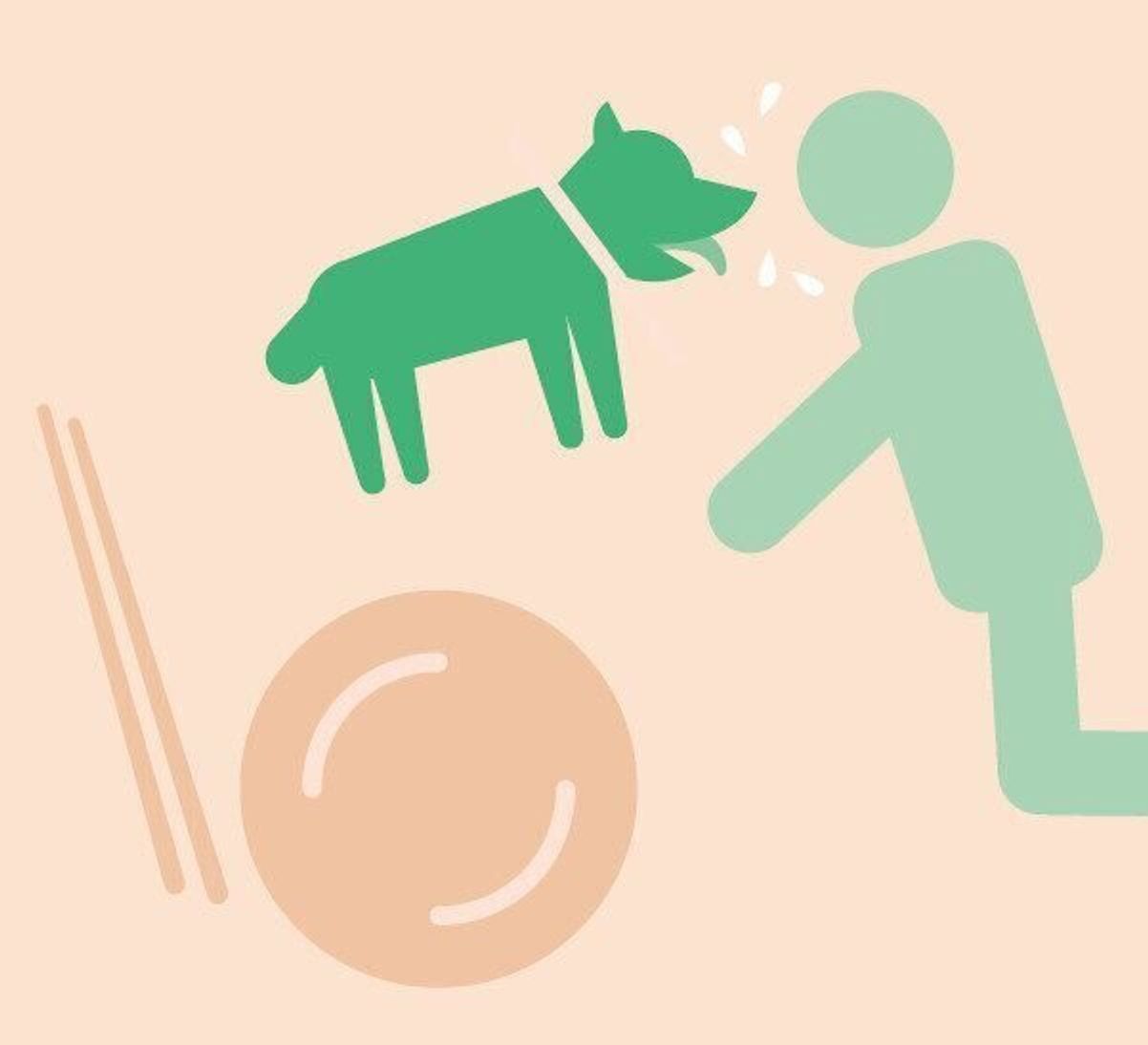 犬から人に感染する 命に関わることもある ズーノーシス とは いぬのきもちweb Magazine 犬から人に感染する 命に関わることもある ズーノーシス とは いぬのきもちweb Magazine