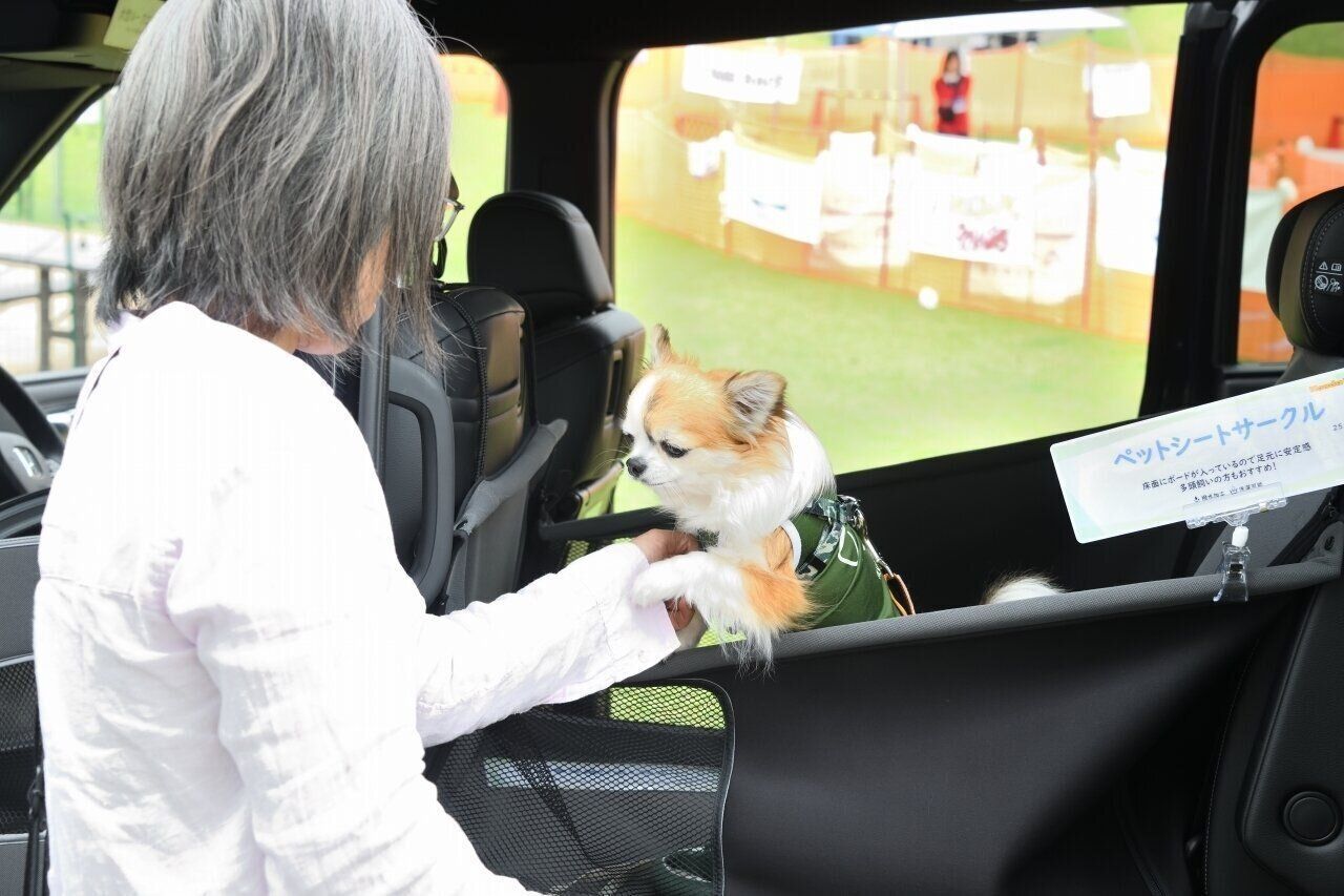 愛犬の反応を確かめる飼い主さん