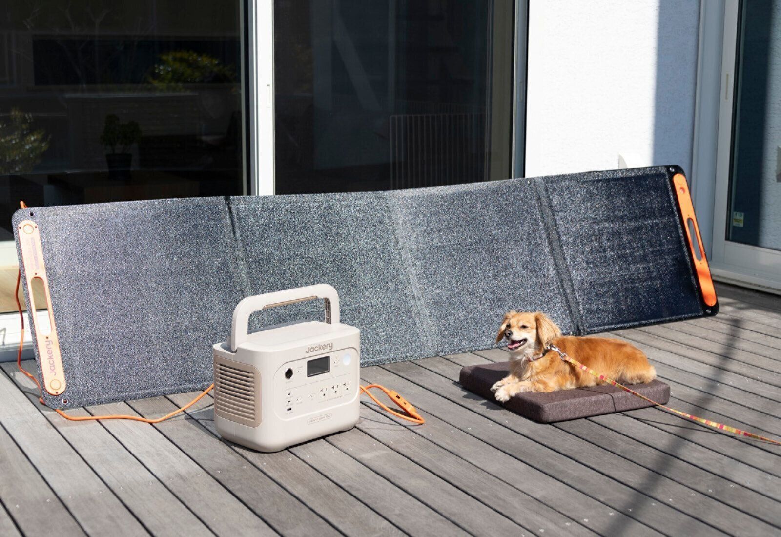 Jackery Japan　ジャクリ　ポータブル電源　犬　在宅避難　自宅避難　キャンプ　アウトドア　ソーラーパネル