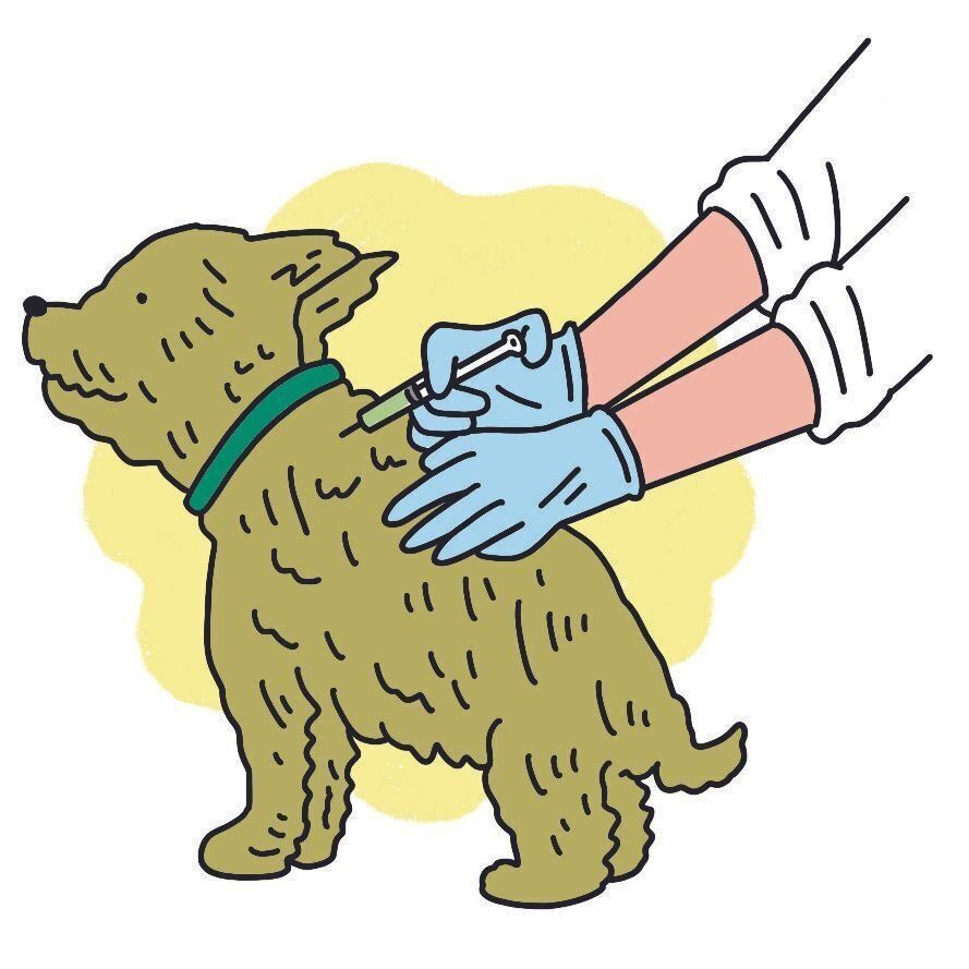 イラスト／ナカオテッペイ