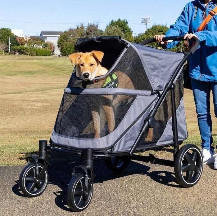 試したのは、スタッフHと愛犬レノン(オス・5カ月/12.0kg/ミックス/内弁慶)