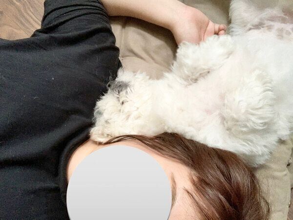 飼い主さんとくっついて眠るわむうくん