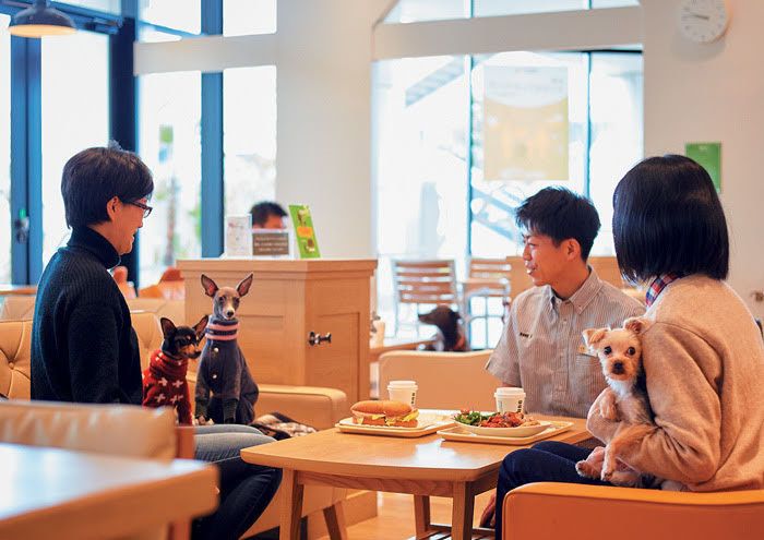 写真／吉田篤史