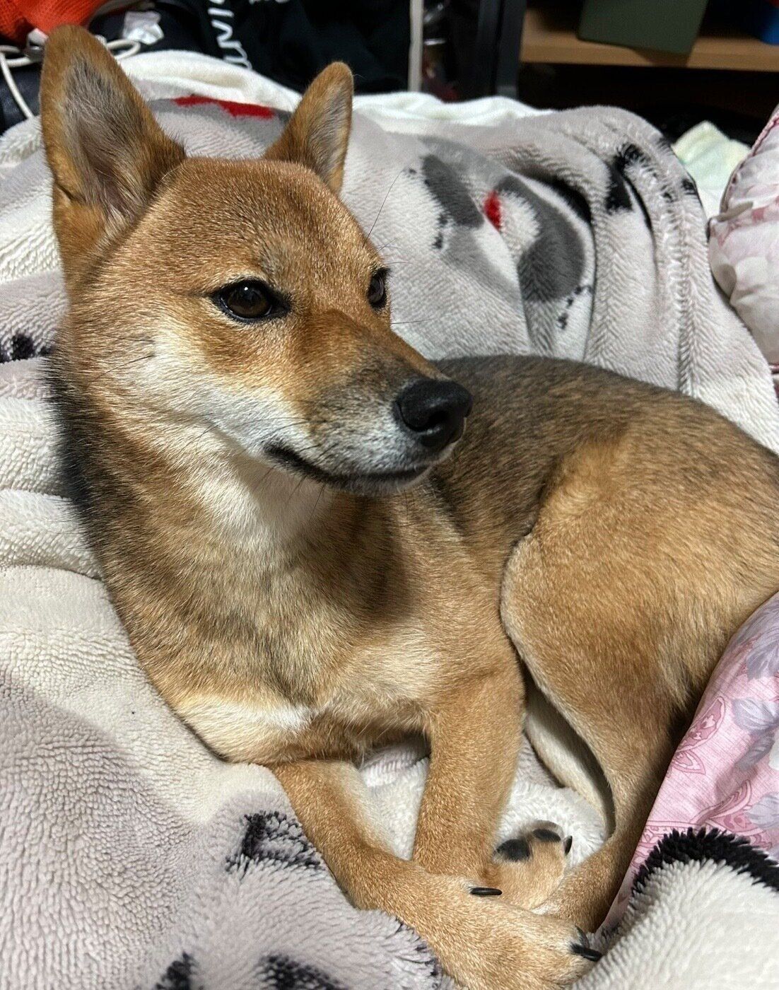 くつろぐお嬢ちゃん