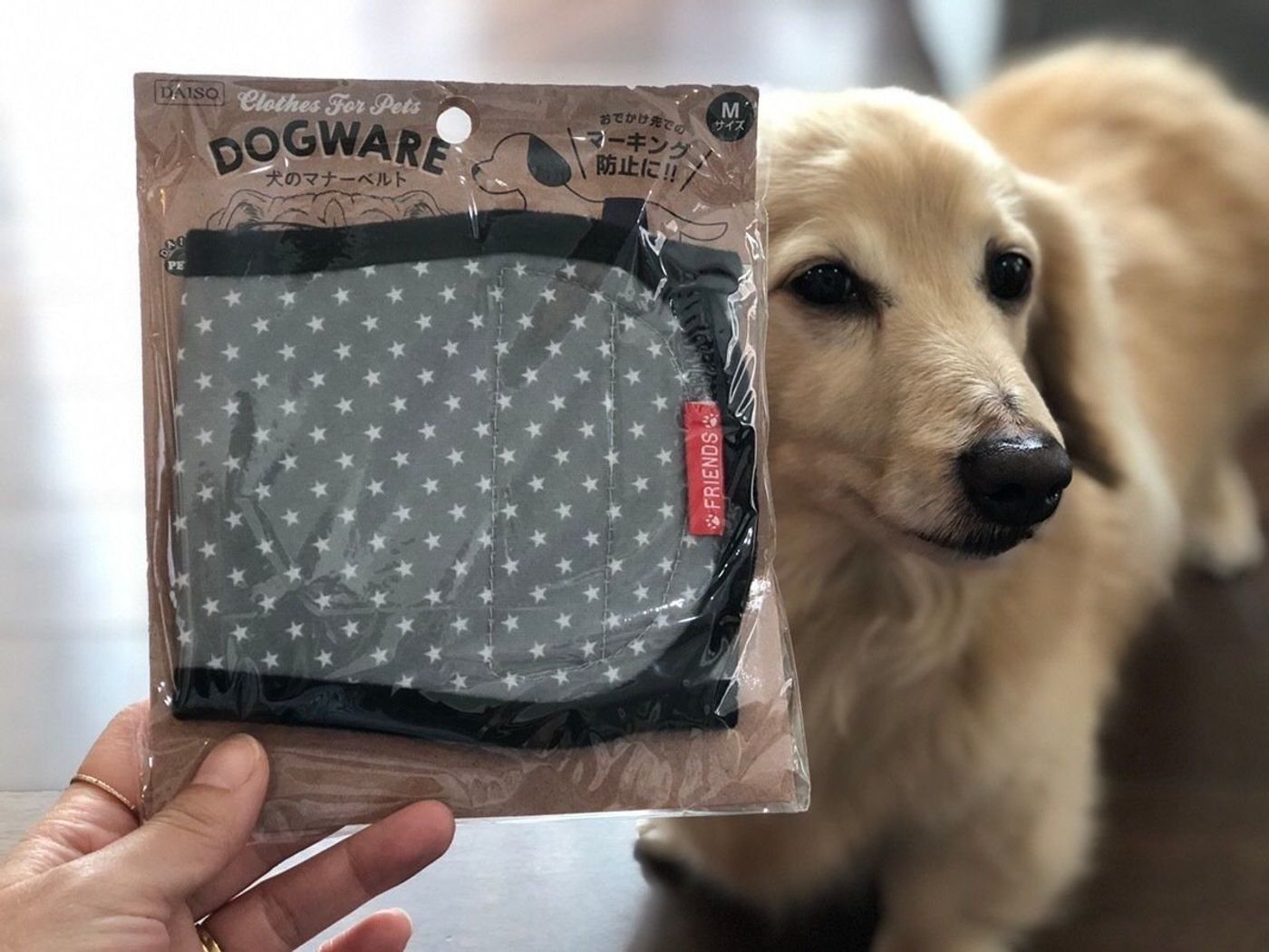 マーキング対策に ダイソー 犬のマナーベルト を使ってみた いぬのきもちweb Magazine マーキング対策に ダイソー 犬のマナーベルト を使ってみた いぬのきもちweb Magazine