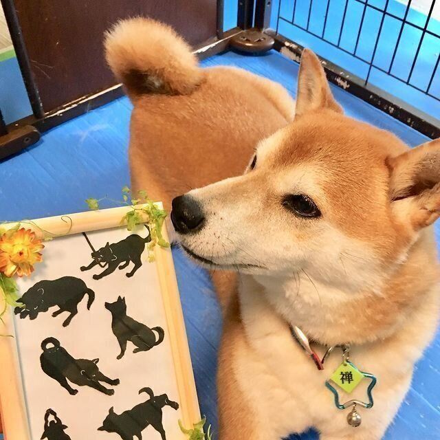 素敵なアイデア