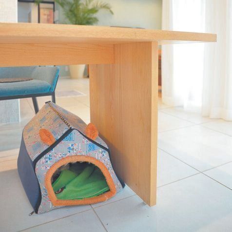 撮影／犬丸美絵