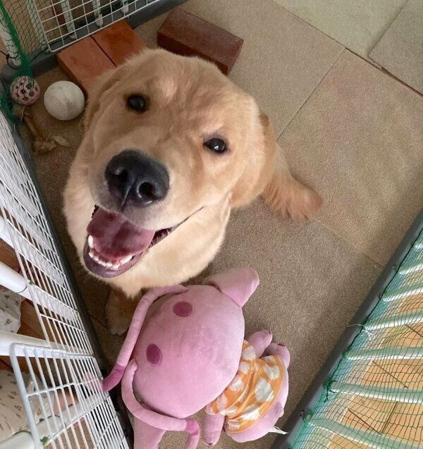 笑顔が可愛いむぎくん