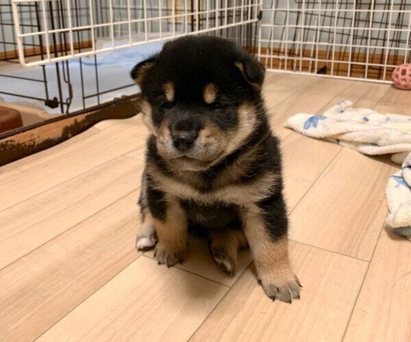 生後1カ月の澄くん