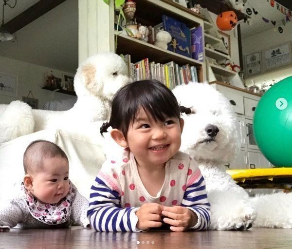 スタンダード・プードルと女の子まめちゃん