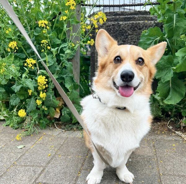 笑顔が可愛いモカちゃん