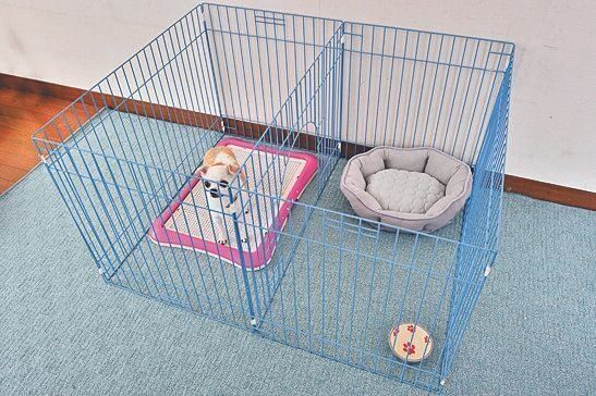 休憩場所と排泄場所を仕切ってみよう