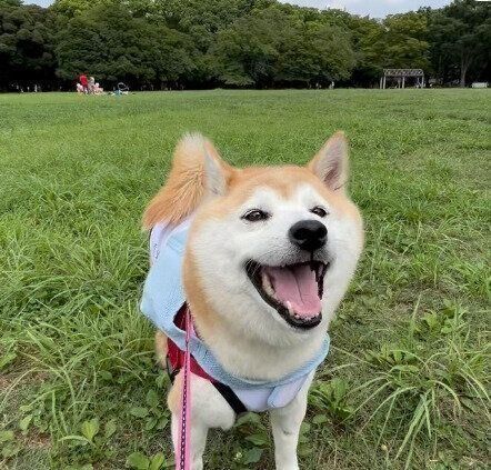 ボール遊びたのしい!