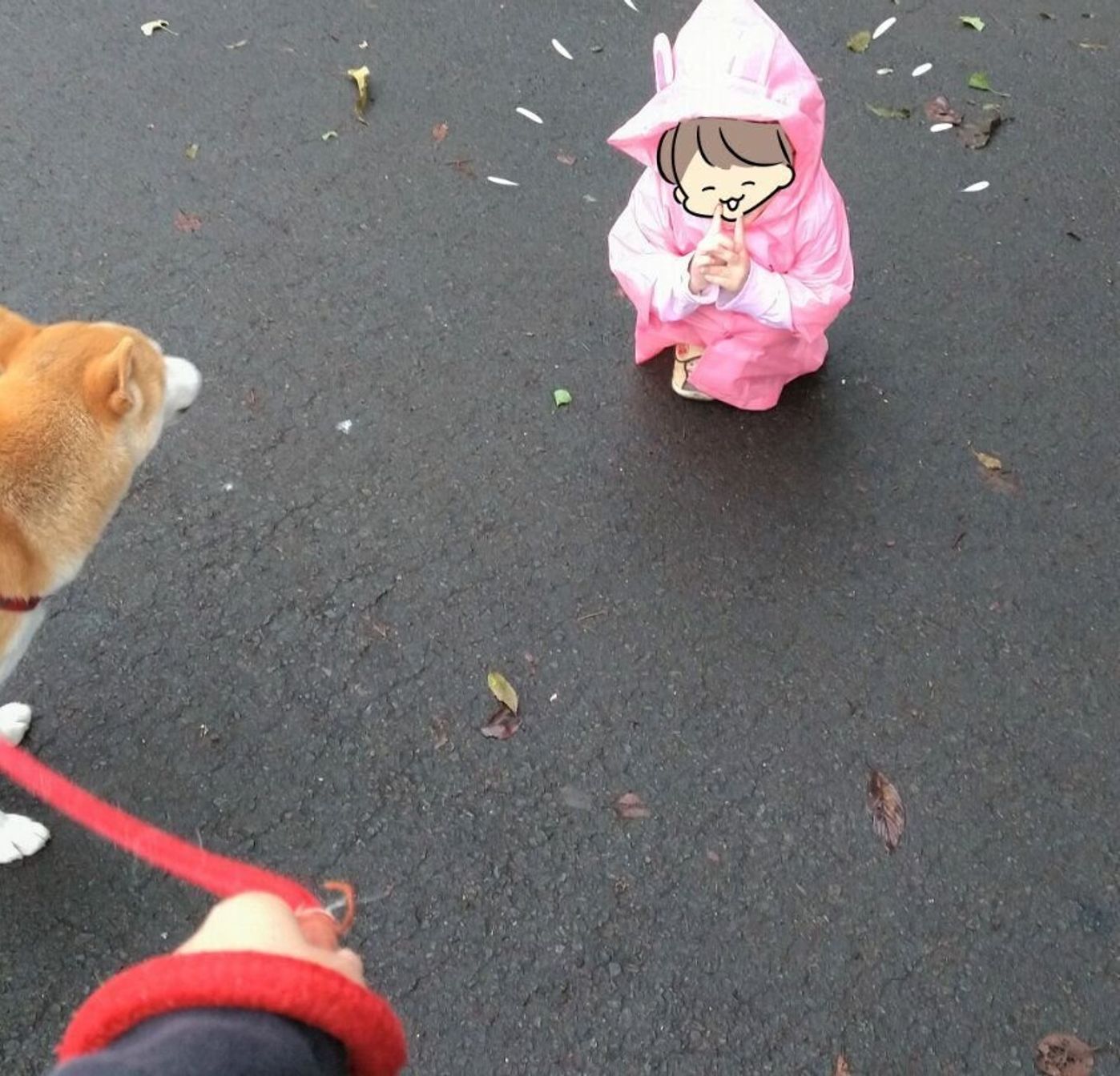 雨に濡れた柴犬タロさん ドライヤーに興味を示すも もういいです と断念 連載 モフモフ柴とプニプニ娘 第話 いぬのきもちweb Magazine 雨に濡れた柴犬タロさん ドライヤーに興味を示すも もういいです と断念 連載 モフモフ柴とプニプニ娘 第話 いぬのきもちweb Magazine