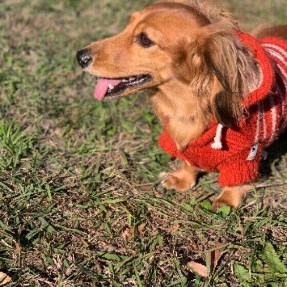 赤いウェアを着た空くん