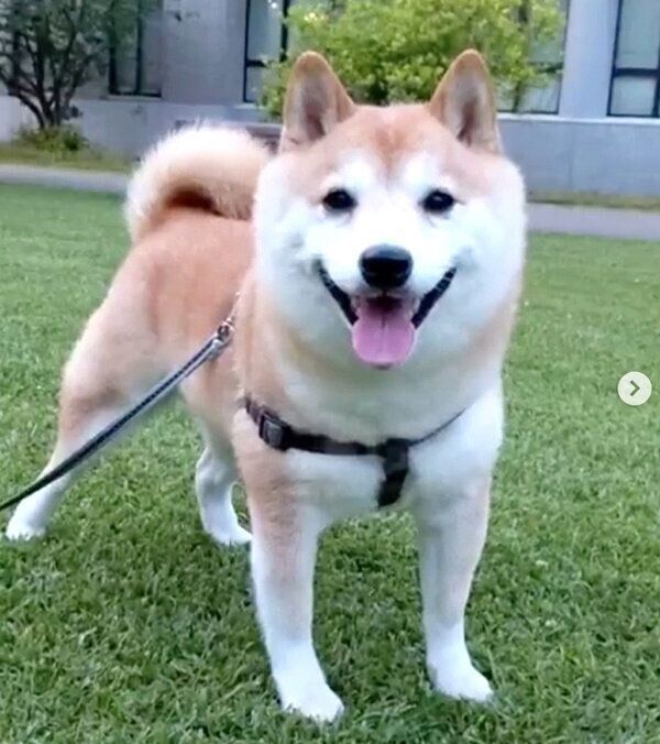 笑顔が可愛い福来くん