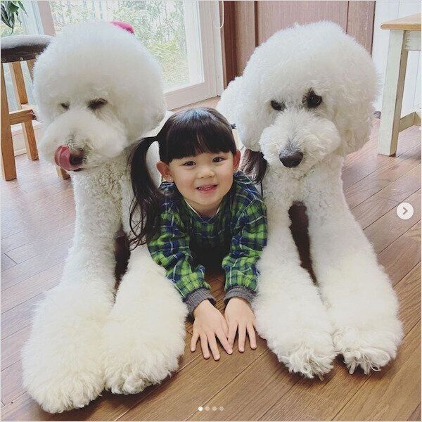 仲良しなりくくん、がくくん、まめちゃん