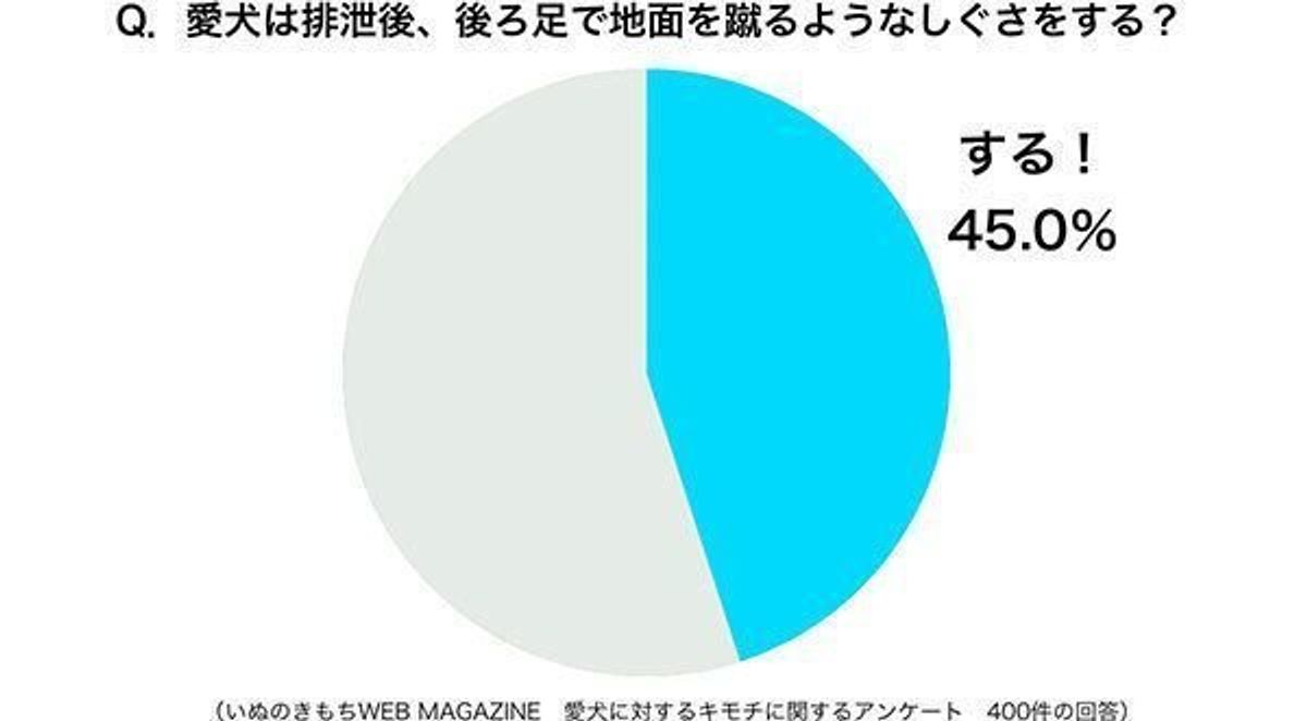 排泄後に後ろ足で地面を蹴る 犬 実は犬にもこだわりの理由があった いぬのきもちweb Magazine 排泄後に後ろ足で地面を蹴る 犬 実は犬にもこだわりの理由があった いぬのきもちweb Magazine