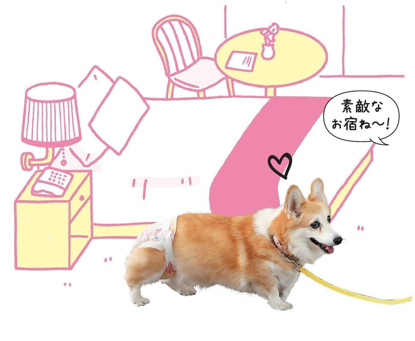 子犬にもマストアイテム 犬用おむつ 活用シーン7 いぬのきもちweb Magazine 子犬にもマストアイテム 犬用おむつ 活用シーン7 いぬのきもちweb Magazine