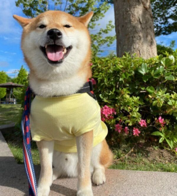 笑顔を見せるぽてとくん