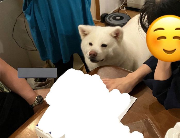 家族の輪の中に入るまゆちゃん
