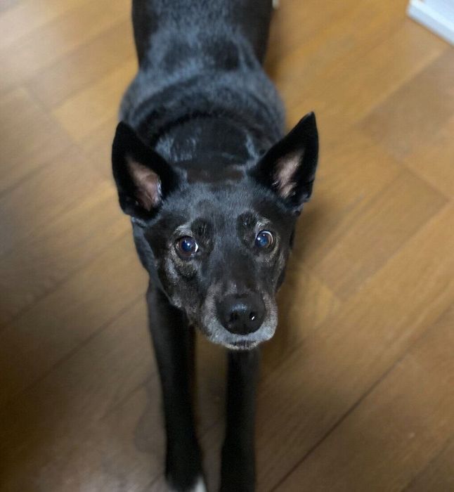 「おやつください」とアピールするくまこちゃん