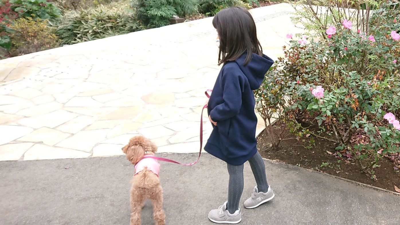 ずっと だいすきだよ 想いを言葉にのせて伝えたい スタッフおススメ犬絵本 いぬねこ絵本部 いぬのきもちweb Magazine ずっと だいすきだよ 想いを言葉にのせて伝えたい スタッフおススメ犬絵本 いぬねこ絵本部 いぬのきもちweb Magazine