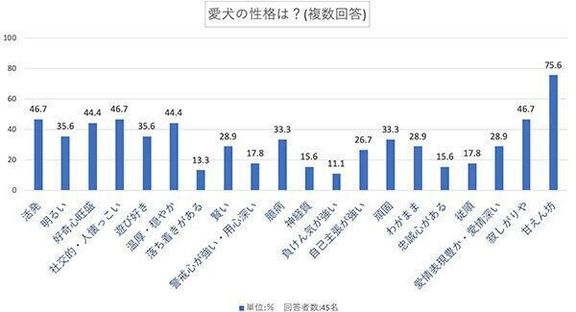 愛犬の性格は？