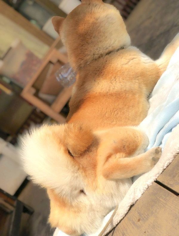 おしりも可愛いそらくん