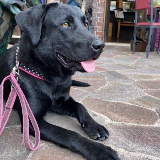 カフェでくつろぐレンちゃん