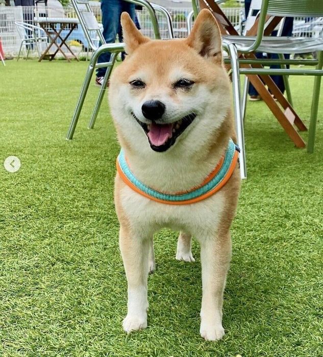 笑顔が可愛いすずちゃん