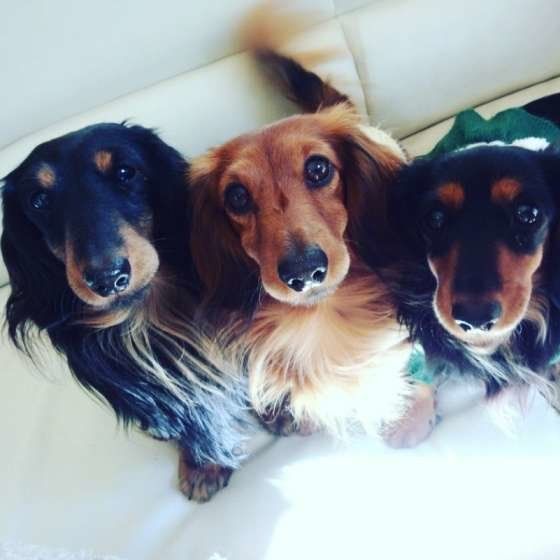 仲良く整列しているね♪