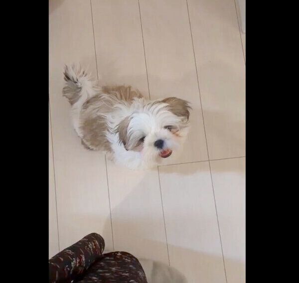 笑顔のうめまるくん