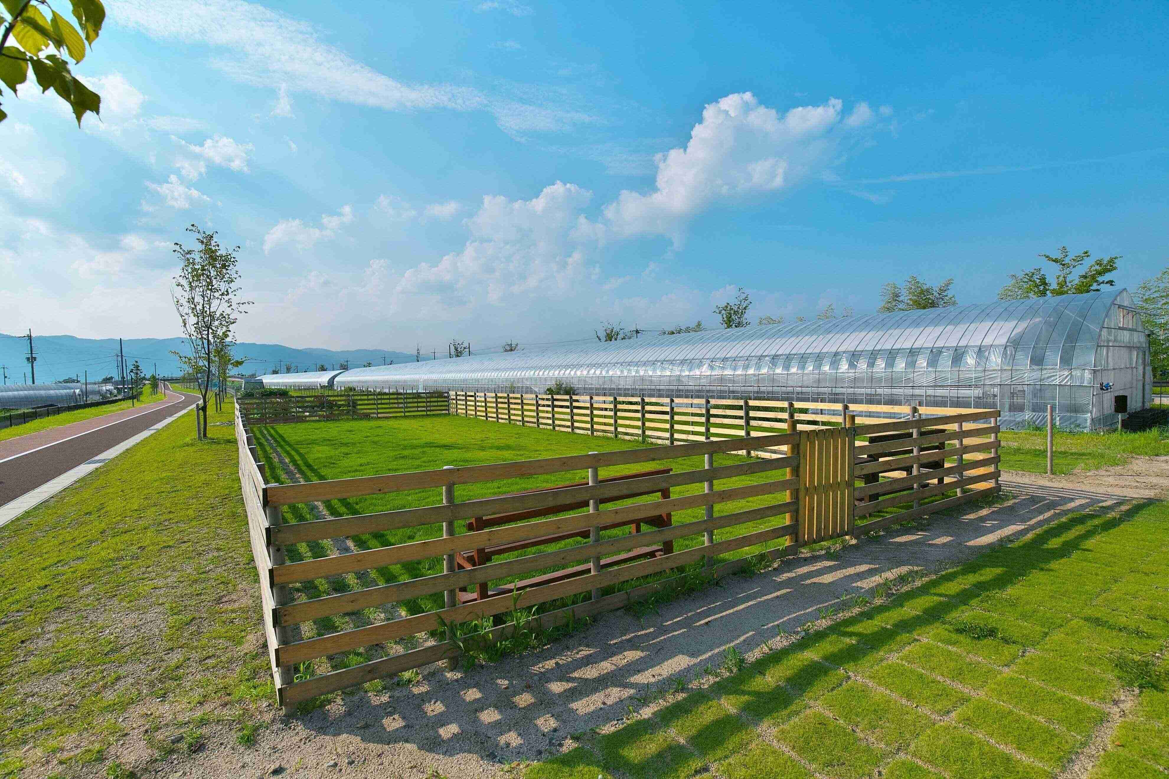 大空に包まれた芝生のドッグラン