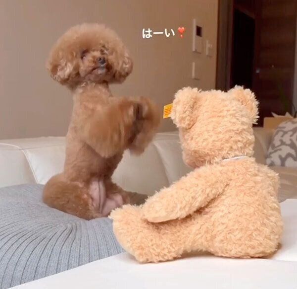 合図に応えて反応するパンナちゃん