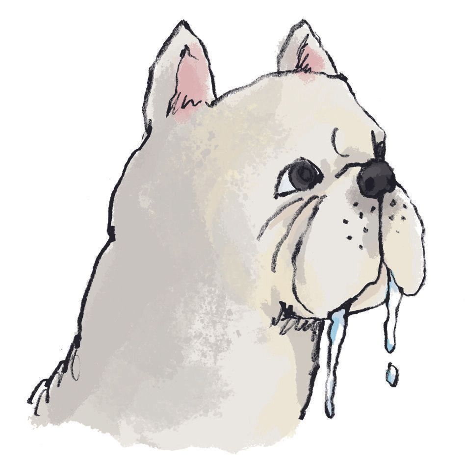 イラスト／五嶋直美