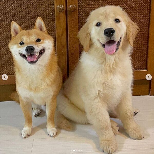 うにくんとおからちゃん