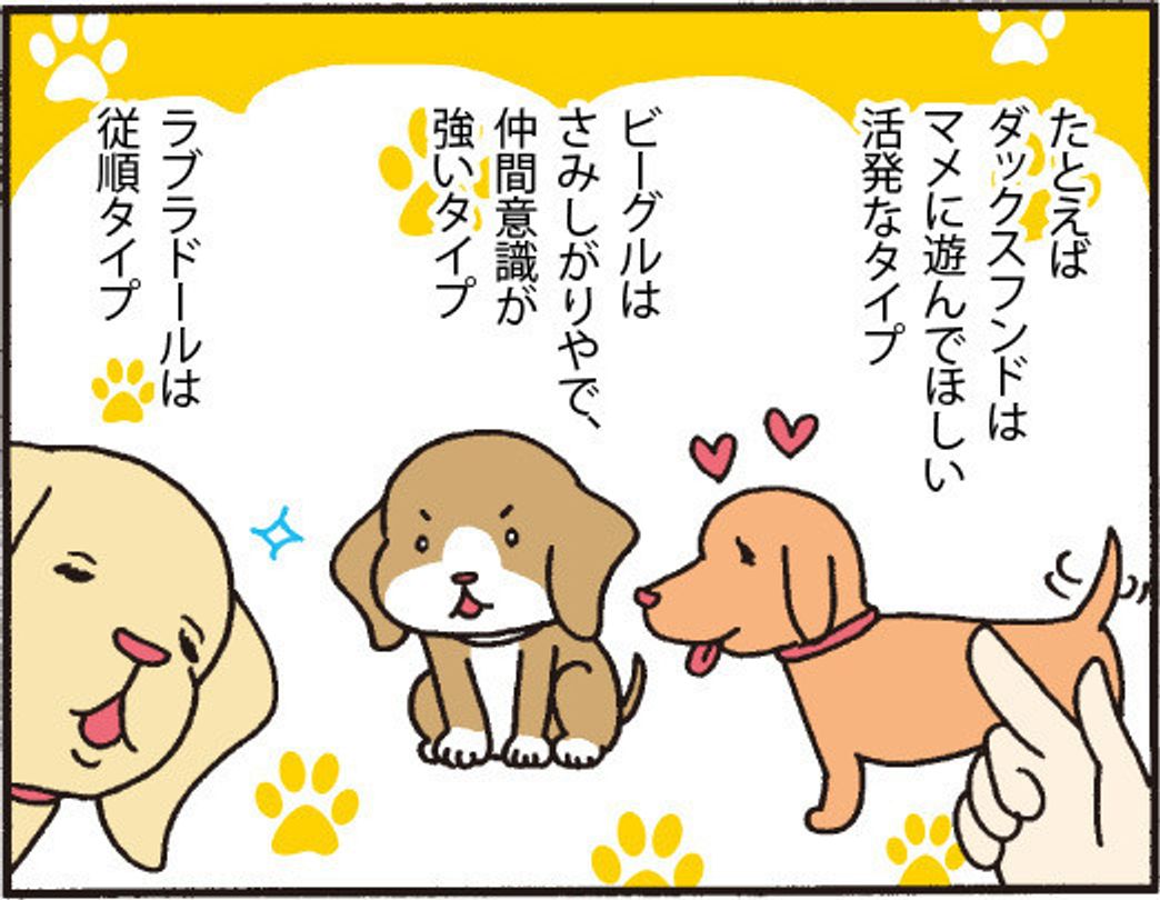 Vol 3 ライフスタイルと犬種選びのポイント2 いいな 犬のいる暮らしって いぬのきもちweb Magazine Vol 3 ライフスタイルと犬種選びのポイント2 いいな 犬のいる暮らしって いぬのきもちweb Magazine