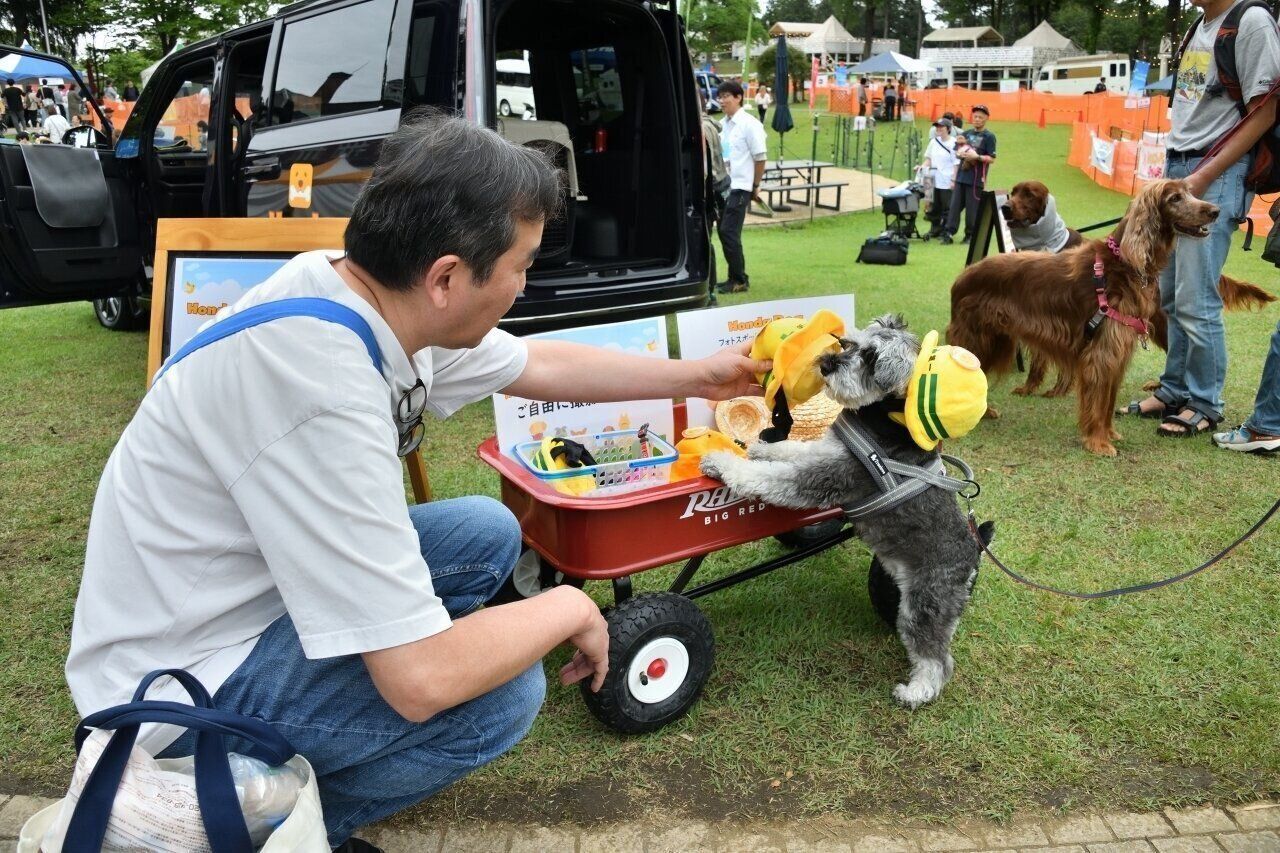 グッズを選ぶ愛犬家たち