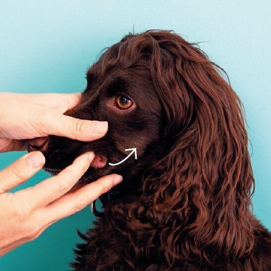 そっと指を差し込んでみる