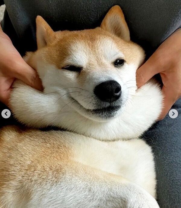 ほっぺがモチモチの福来くん