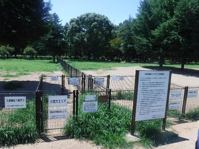 緑の木々に囲まれたドッグラン