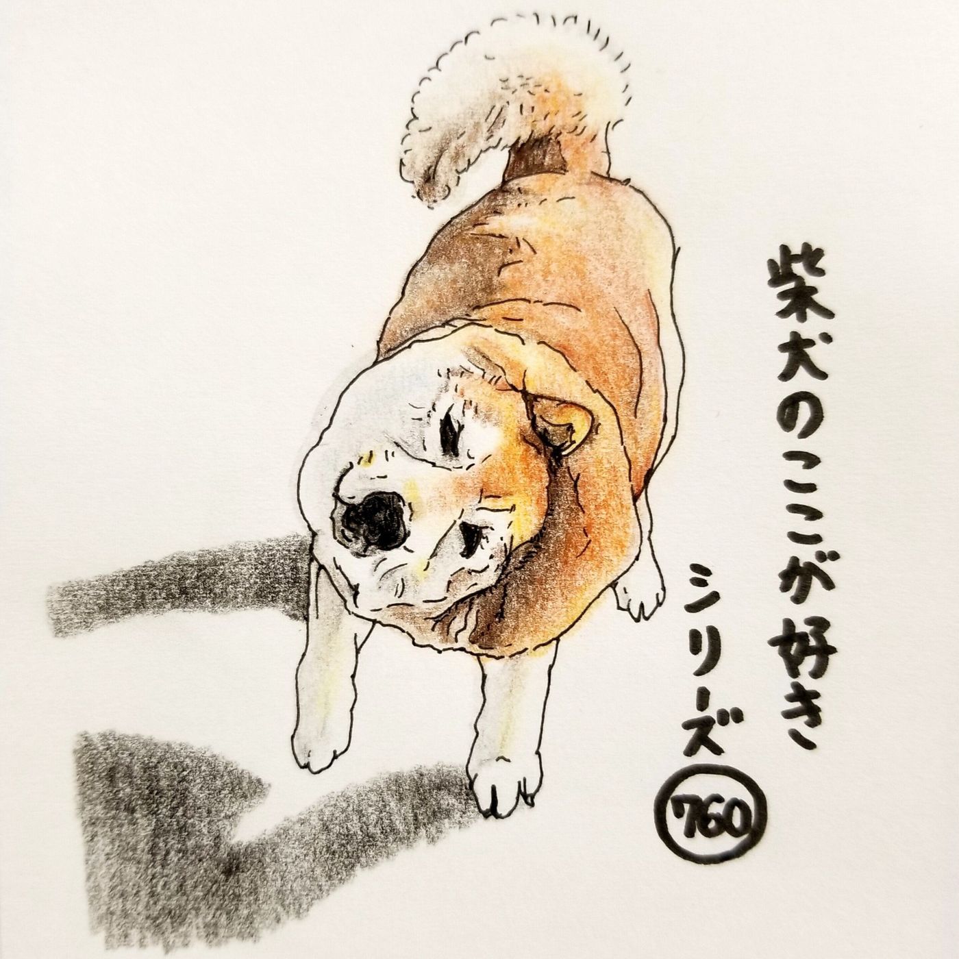 柴犬あるある 柴ドリル 中に首の皮がブルンブルン揺れるとこ 連載 ここ掘れここ柴 Vol 161 いぬのきもちweb Magazine 柴犬あるある 柴ドリル 中に首の皮がブルンブルン揺れるとこ 連載 ここ掘れここ柴 Vol 161 いぬのきもちweb Magazine