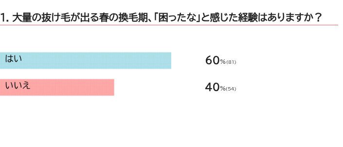 春の換毛期の困りごとは？
