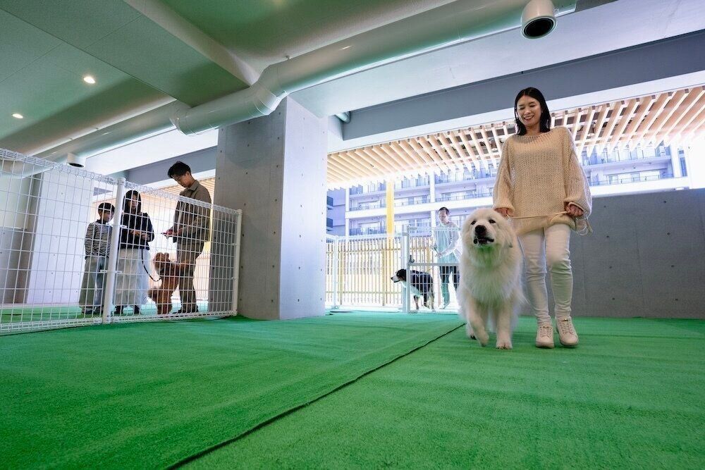 フジタ　大和リビング　リーラ横浜川和町　月次健診　犬猫合わせて4頭　マンション　賃貸マンション　いぬのきもち　いぬ　屋内ドッグラン