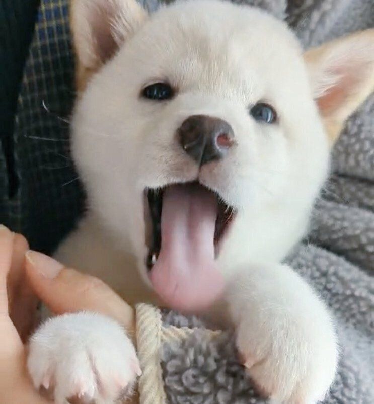 生後3カ月のまんまるくん