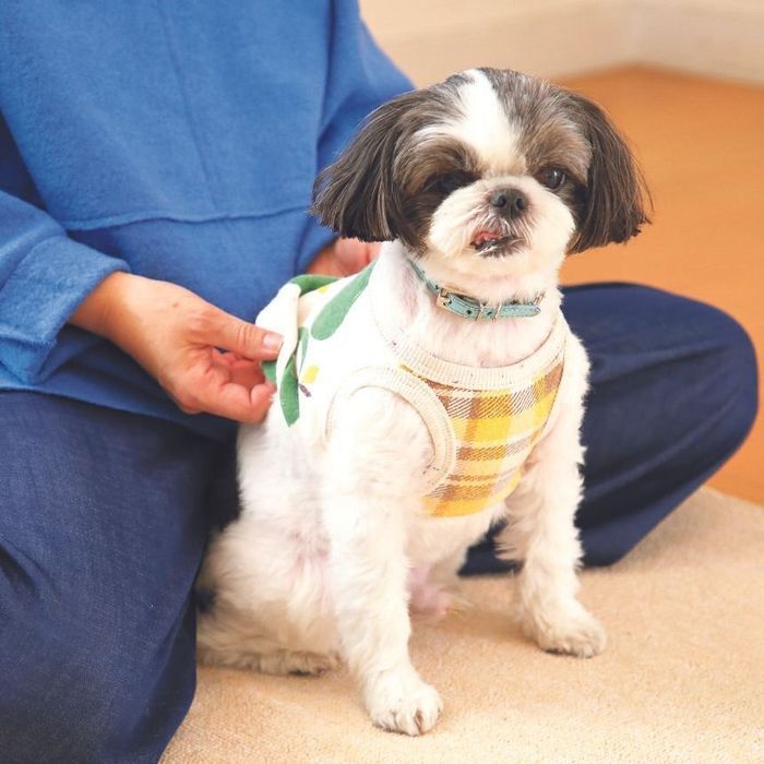 撮影/尾﨑たまき