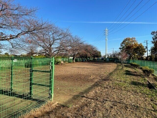 青空が広がるドッグラン